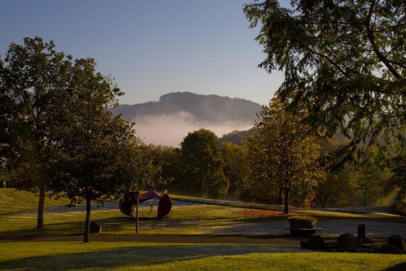 Hotel Am Fang Bad Laasphe Værelse billede