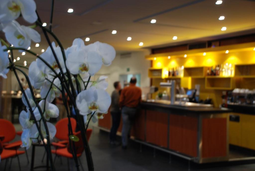Hotel Am Fang Bad Laasphe Eksteriør billede